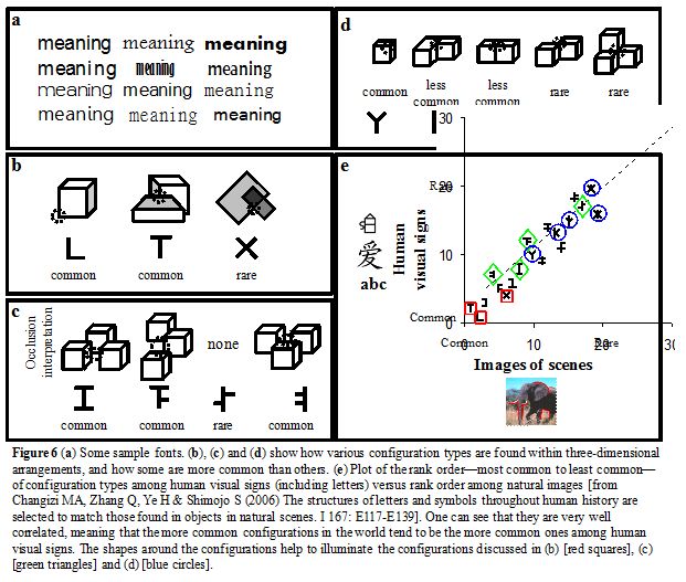 occlusion and human visual signs